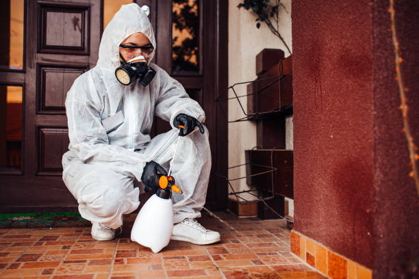 Reliable Wasp Removal contractor in Berea, SC by Show Me Pest Control